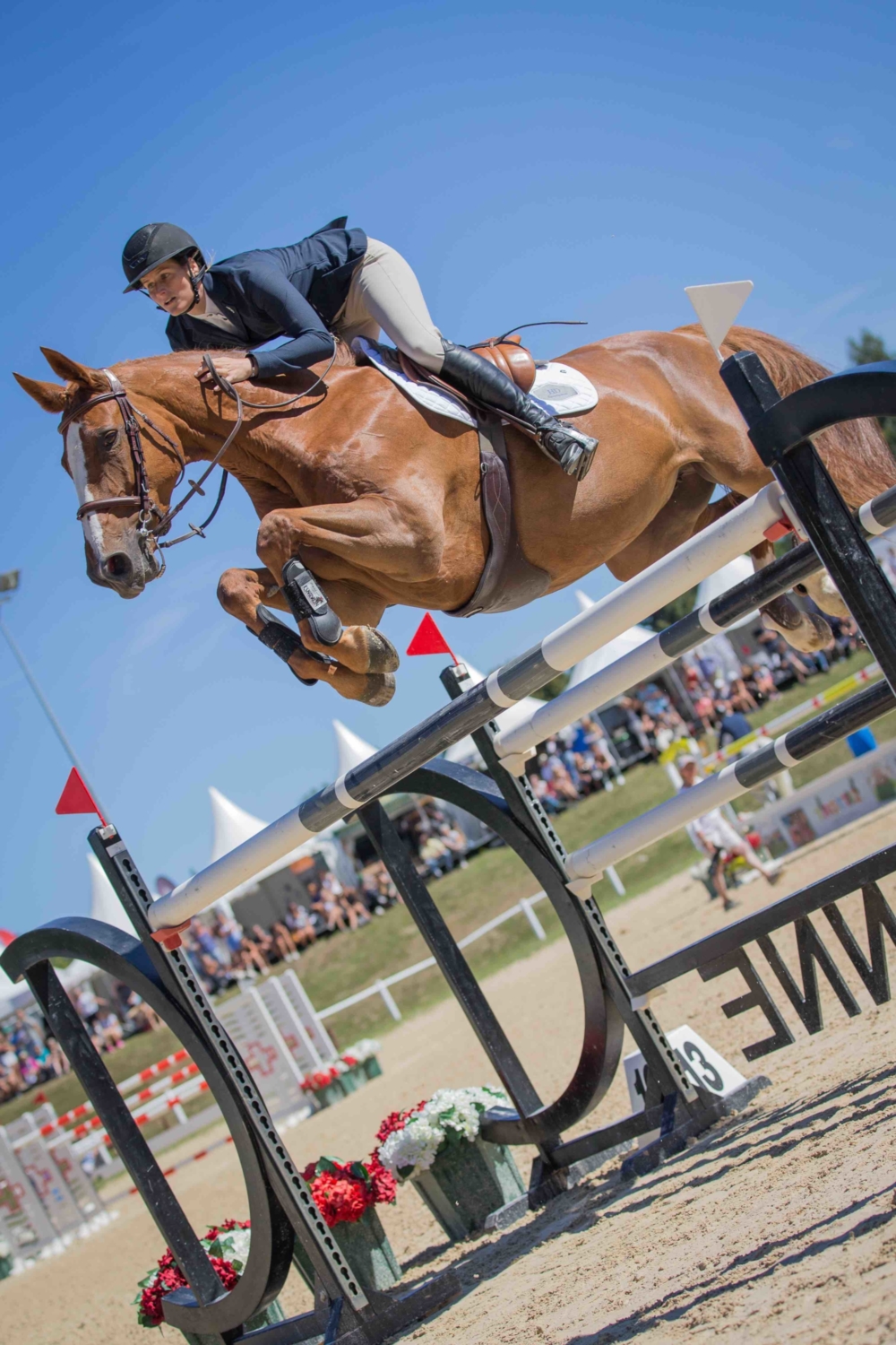 Manège du Chalet-à-Gobet Jumping 2018