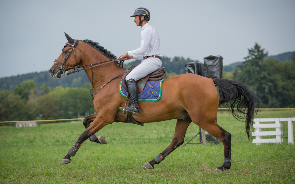 Cabas - Manège du Chalet-à-Gobet