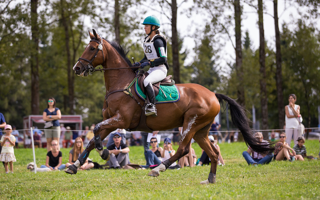 Viril Peccau CH - Manège du Chalet-à-Gobet