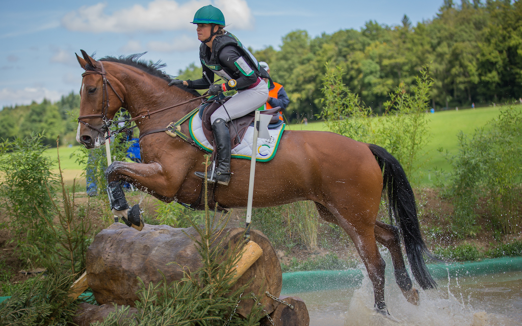 Viril Peccau CH - Manège du Chalet-à-Gobet