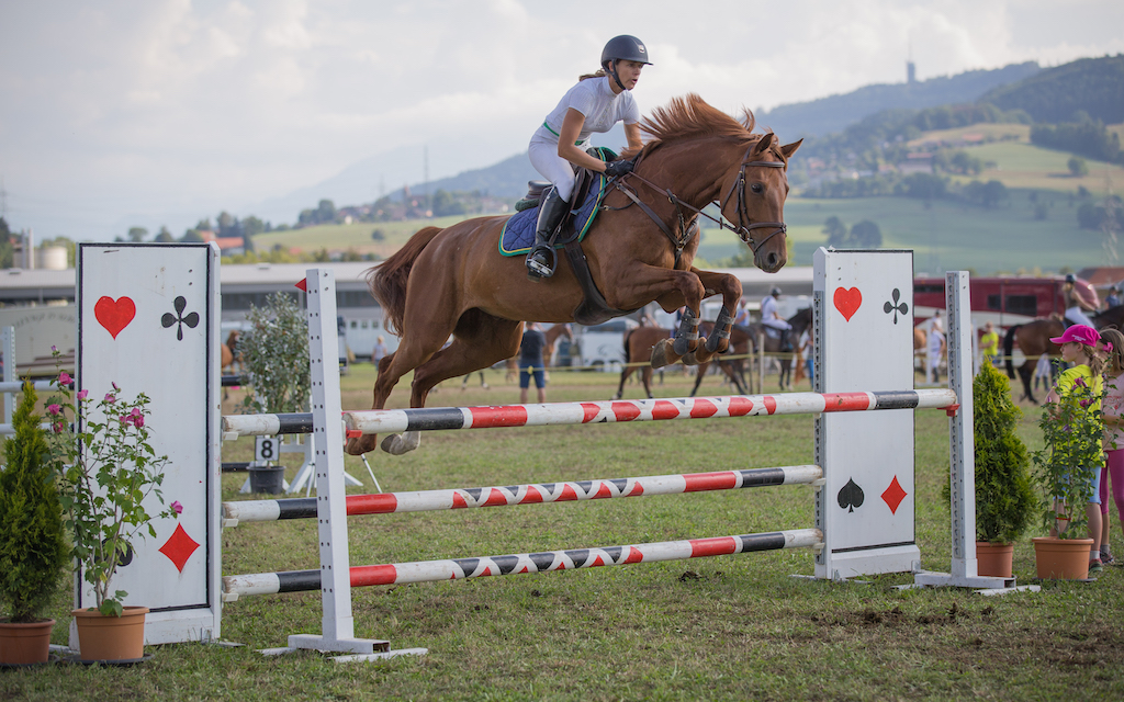 Vogue de Bas - Manège du Chalet-à-Gobet