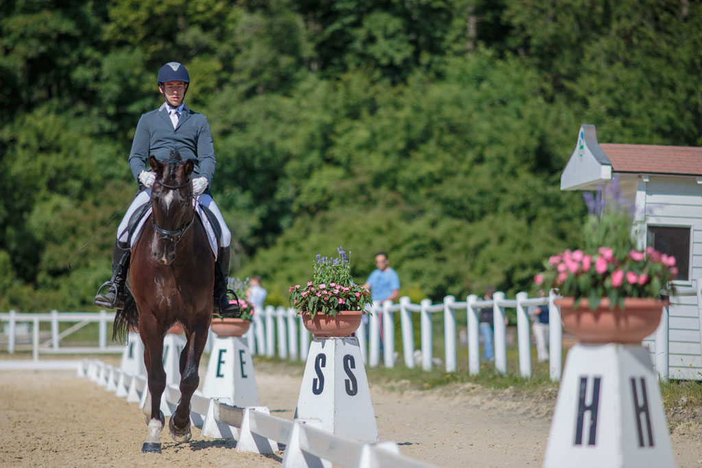 Manège du Chalet-à-Gobet Dressage