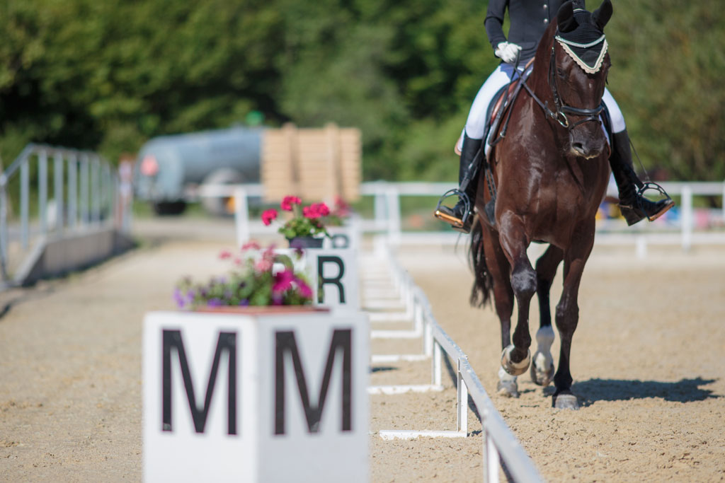 Manège du Chalet-à-Gobet Dressage